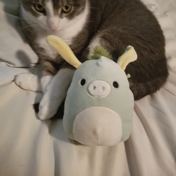 Meet your Posher, Valerie - Picture 1 of 2